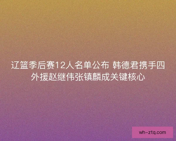 辽篮季后赛12人名单公布 韩德君携手四外援赵继伟张镇麟成关键核心