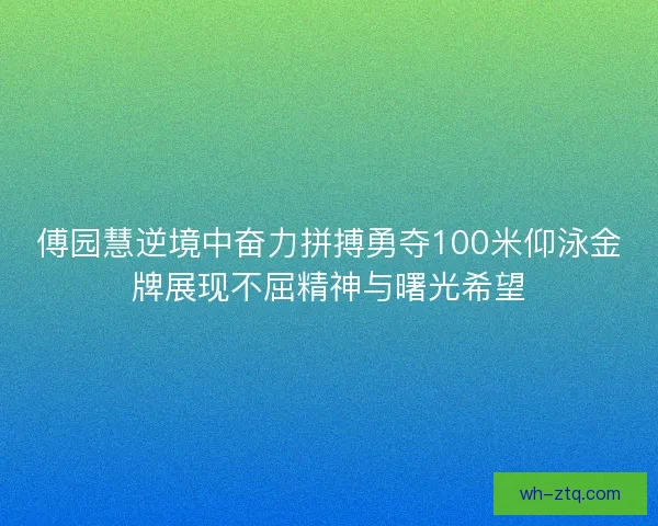 傅园慧逆境中奋力拼搏勇夺100米仰泳金牌展现不屈精神与曙光希望