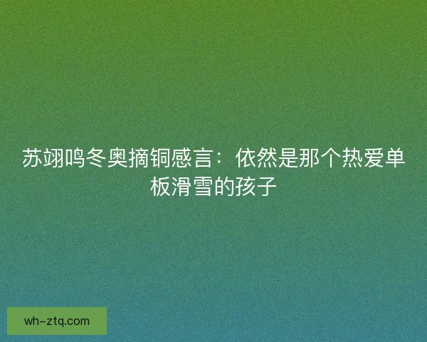 苏翊鸣冬奥摘铜感言：依然是那个热爱单板滑雪的孩子