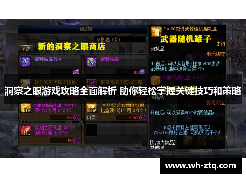 洞察之眼游戏攻略全面解析 助你轻松掌握关键技巧和策略