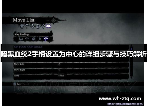 暗黑血统2手柄设置为中心的详细步骤与技巧解析